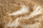 Foto 3 di 6