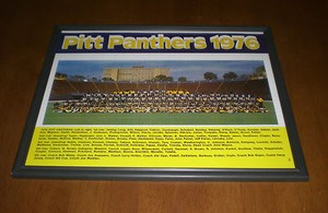 panthers pitt