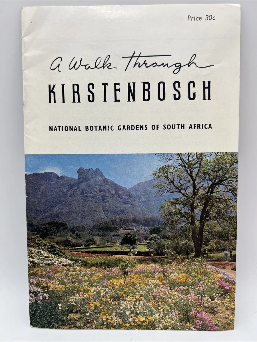 Kirstenbosch National Botanical Gardens Map Fasci Garden kirstenbosch-national-botanical-gardens-map-fasci-garden