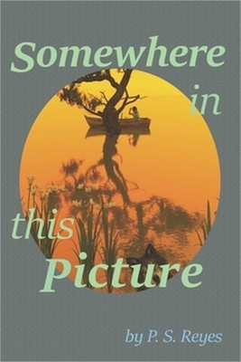 Somewhere In This Picture (Paperback or Softback)