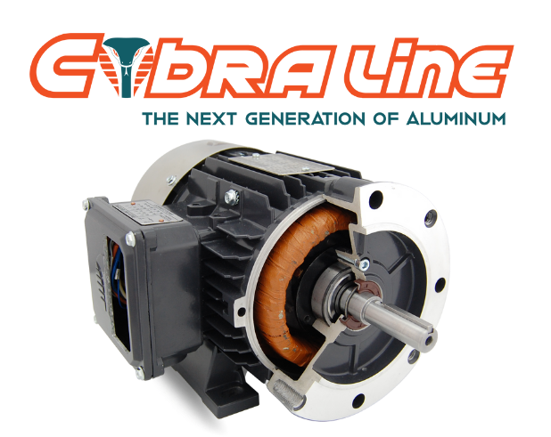 Motore industriale a induzione trifase AC 180/220W con ventola Motore industriale a induzione trifase AC 180/220W con ventola