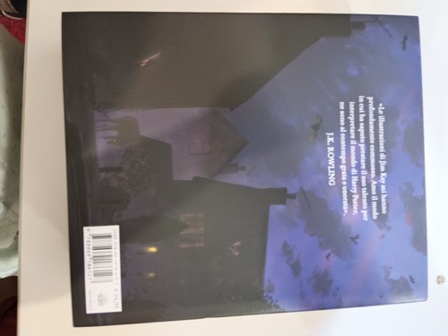 Harry Potter cofanetto Jim Kay serie Illustrata JK Rowling Salani editore - Foto 11 di 18