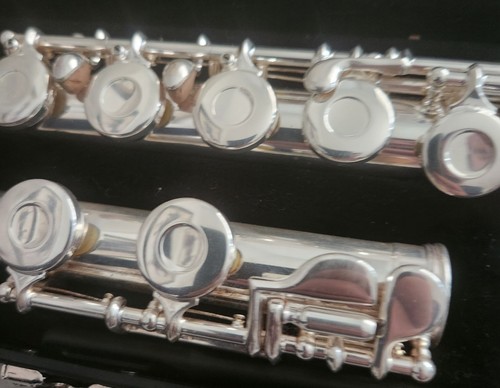 Gemeinhardt 2SP Silver Plated Flute w/ Case Student Band Instrument | eBay