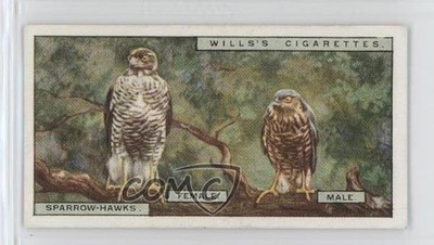 1925 Wills Life in the Tree Tops Tobacco Sparrow-Hawks #10 09vk