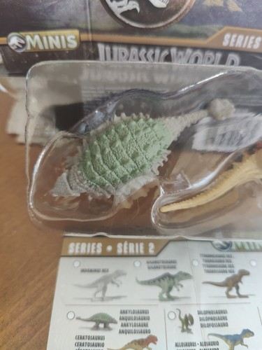 CollectA Set Box Dente E Coda Club Di Ankylosaurus – Replica Fossile In Vetrina 11,9x8 Cm, Con Supporto Da Parete E Cavalletto