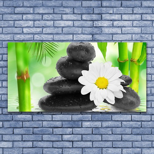 Impression sur verre acrylique Image Tableau 140x70 Art Pierres Fleur