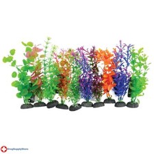 RA Plant on Rock Mixed - Medium - 10 pk