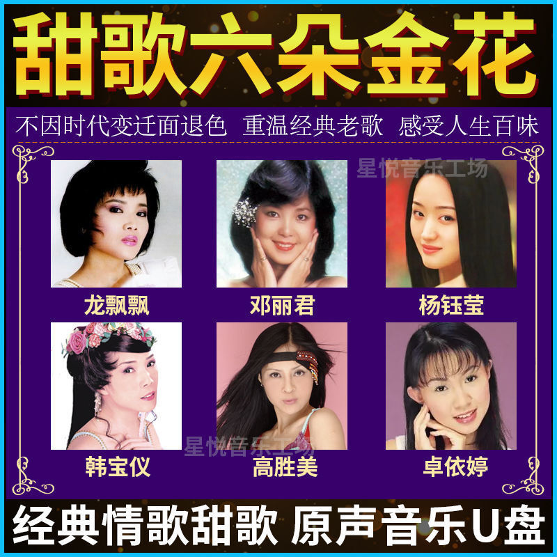 USB Flash Drive Taiwanese Sweet Love Songs 台语经典酒廊情歌 邓丽君