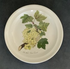 PORTMEIRION POMONA WHITE DUTCH CURRANT desert plate 8.5? diameter. Rare
