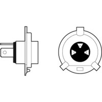 GlüHlampe Fernscheinwerfer Valeo 032513 FüR Alfa Romeo Mercedes-Benz Ford