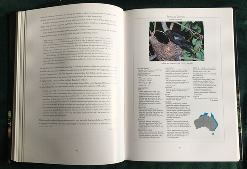 Finches, Bowerbirds and Other Passerines (The National Photographic Index of Aus - Picture 10 of 11