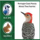 Shelled Peanuts Wildlife and Wild Bird Food, 5 Lb. Bag