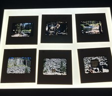 Lot of 12 35mm slides - 1959 Camping Trip Mountains Creek