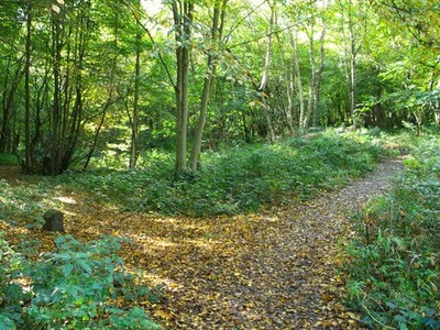 Photo A3 Path in Walderslade Woodlands Kit's Coty This path leads from W c2012