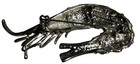 Silvery Tone Multi Color Rhinestones Peach Shrimp Crawfish Brooch Pin 2 1/4" EUC — photo 3