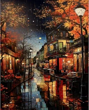 Rainy Street Paint by Numbers Kit for Adults Paint by Number Kits for Kids Canva