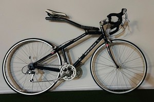Softride Bicycle | eBay