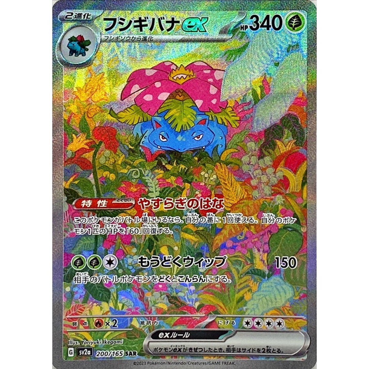 Venusaur ex 200/165 SAR Pokemon Card Japanese Pokemon Card Venusaur ex 200/165 SAR Pokemon Card Japanese Pokemon Card