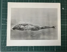 WW2 USMC USN Rare Iwo Jima Aerial Picture 