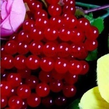 6mm Natural RARE Red Jade Round Loose Beads Gemstone 15" Strand