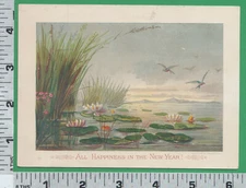 B893 Louis Prang New Year greeting card lily pond lilies cat tail L. Prang & Co.