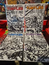 TEENAGE MUTANT NINJA TURTLES #9-12 SALGADO Connecting Trade Variant Set LTD 600