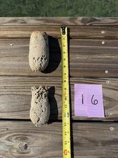 Natural Sea Sponge Set Of 2 Key West Coastal Beach Ocean Tropic  Art Craft Decor