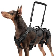 BINGPET Dog Lift Harness for Large Dogs, Full Body Adjustable Handle Sling | ...