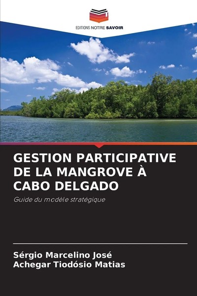 Gestion Participative DE LA Mangrove À Cabo Delgado Guide Du ModèLe StratéGique-image