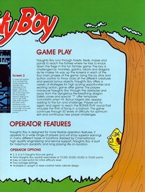 Naughty Boy  Arcade PCB Jeleco WORKING 100% RARE !!!