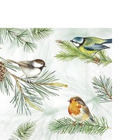 20 Kleine Cocktailservietten Charming Birds Green VöGel Zweige Winter 25X25Cm