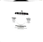 Bruce Springsteen:  My Hometown / DJ COPY .. 45 RPM 6581