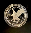 (2023-W) American Silver Eagle (NGC MS70) Proof $1PR