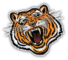 Tiger Face Car Bumper Sticker Decal "SIZES''