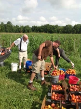 600,000 Garden/Survival SEED CACHE! Non-GMO, HEIRLOOM, USA Vegetable SEEDS!