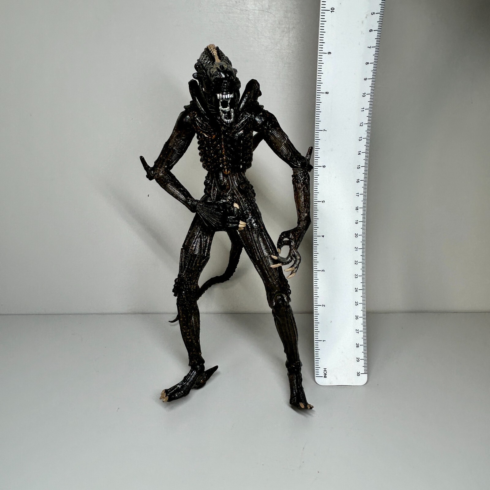 Picture 18 of 24
