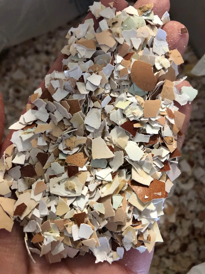 Fertilizante de calcio 10# cáscaras de huevo trituradas a granel jardín planta de interior césped Foto 3 de 4