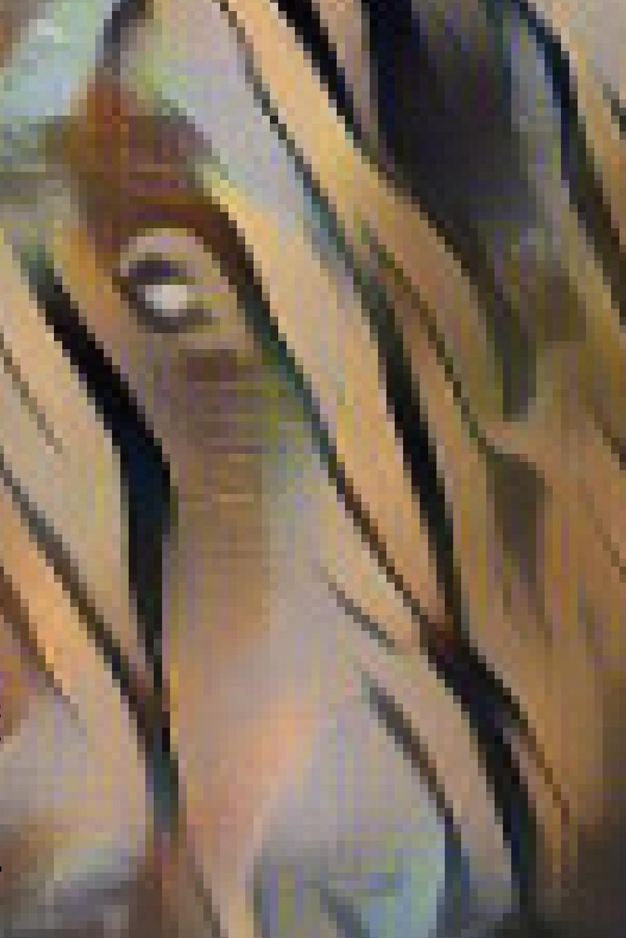 Source-user | Jib Dandy | Book Brawlers | Taschenbuch | Paperback |