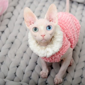 devon rex sweater