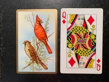 Swap Playing Card  Birds  Cardinals  Vintage  QUEEN OF DIAMONDS   Gold Borders