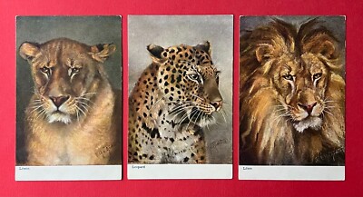 3 x Artist Postcard by E. Richter around 1900 Lioness, Leopard and Lion (132468