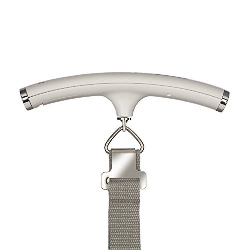 Taylor 8123-4 Luggage Digital Scale, 88 