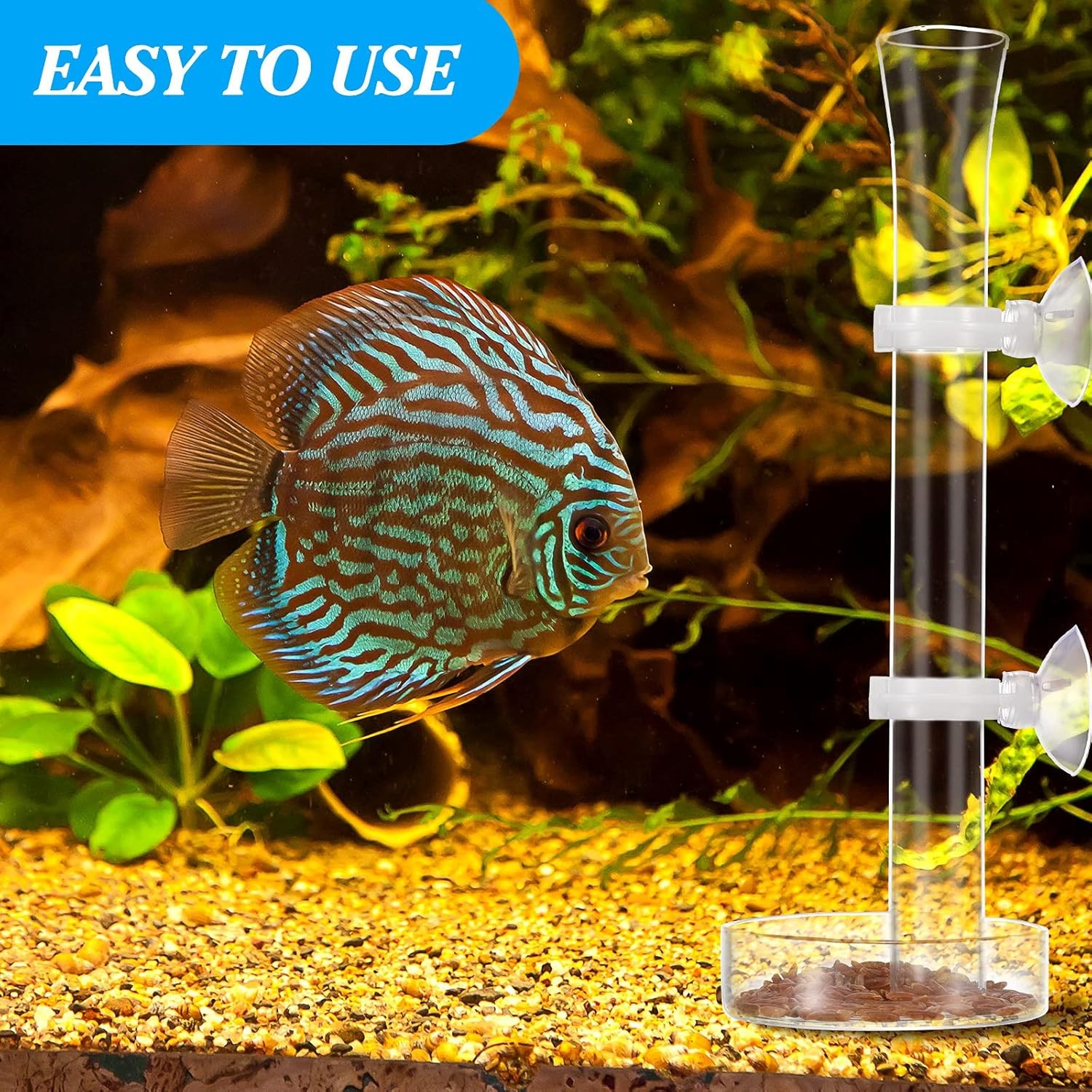 3 Pieces Shrimp Feeding Tube and Dish Set, Include Glass Shrimp Feeder Tube and