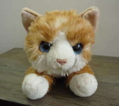 Keel Signature Kuschelkätzchen blaue Augen Ginger Tabby Katze weiches Plüschtier 14 Zoll/36 cm