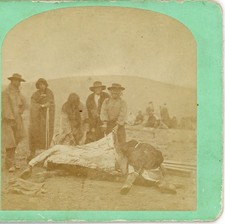 Antigua cara ancha Winnebago Agency indios aderezo carne de res Hamilton & Hoyt Stereoview