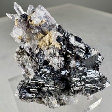 Bonita pirargirita grande XLS: veta Santa Elena, mina San Luis, Fresnillo, México