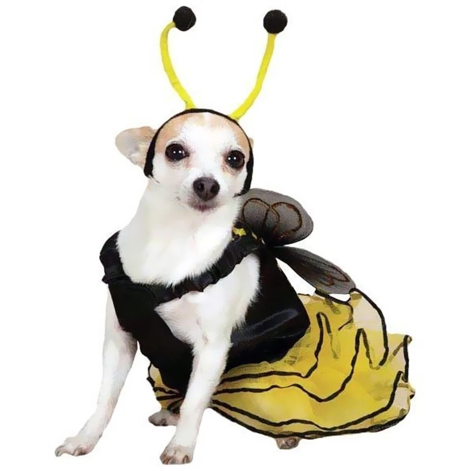 Casual Canine Bee Mine, Dog Halloween Costume, XS Pet - Image 3 of 4