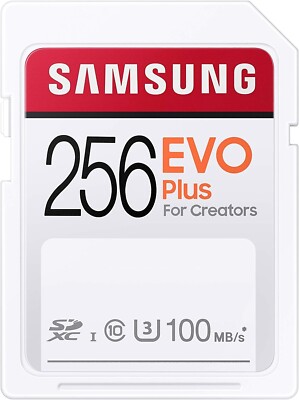Samsung Evo Plus - 256 GB