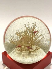 Cool Snow Globes Trees Cardinals 2022