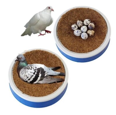  Racing Pigeon Breeding Eggs coconut fiber(1pad)